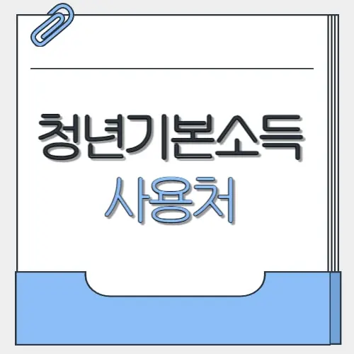 청년기본소득 사용처