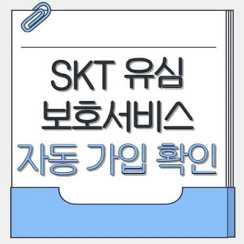 skt 유심보호서비스 가입