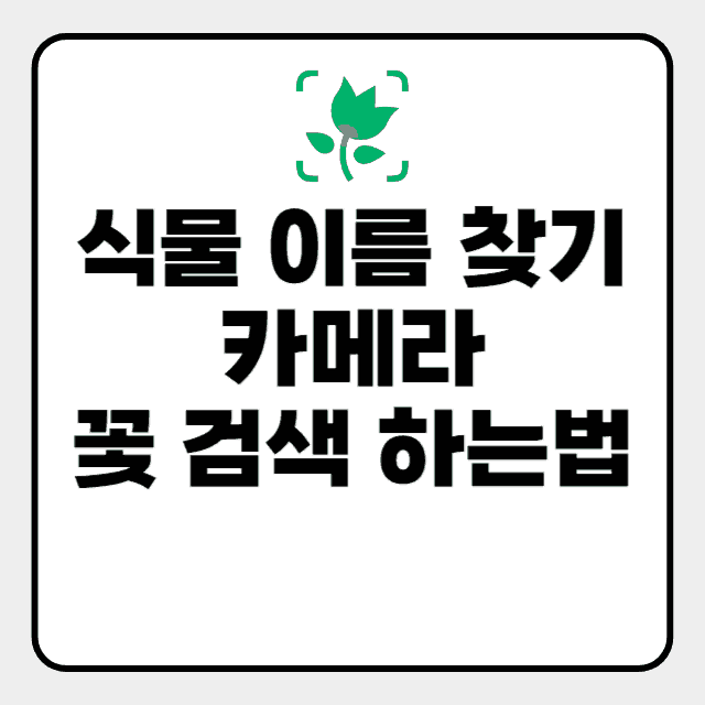 식물 이름 찾기 카메라