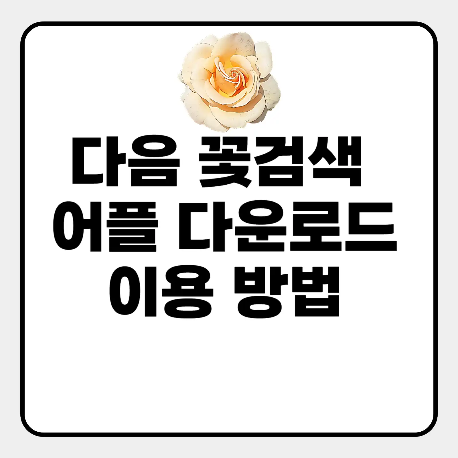 다음 꽃검색